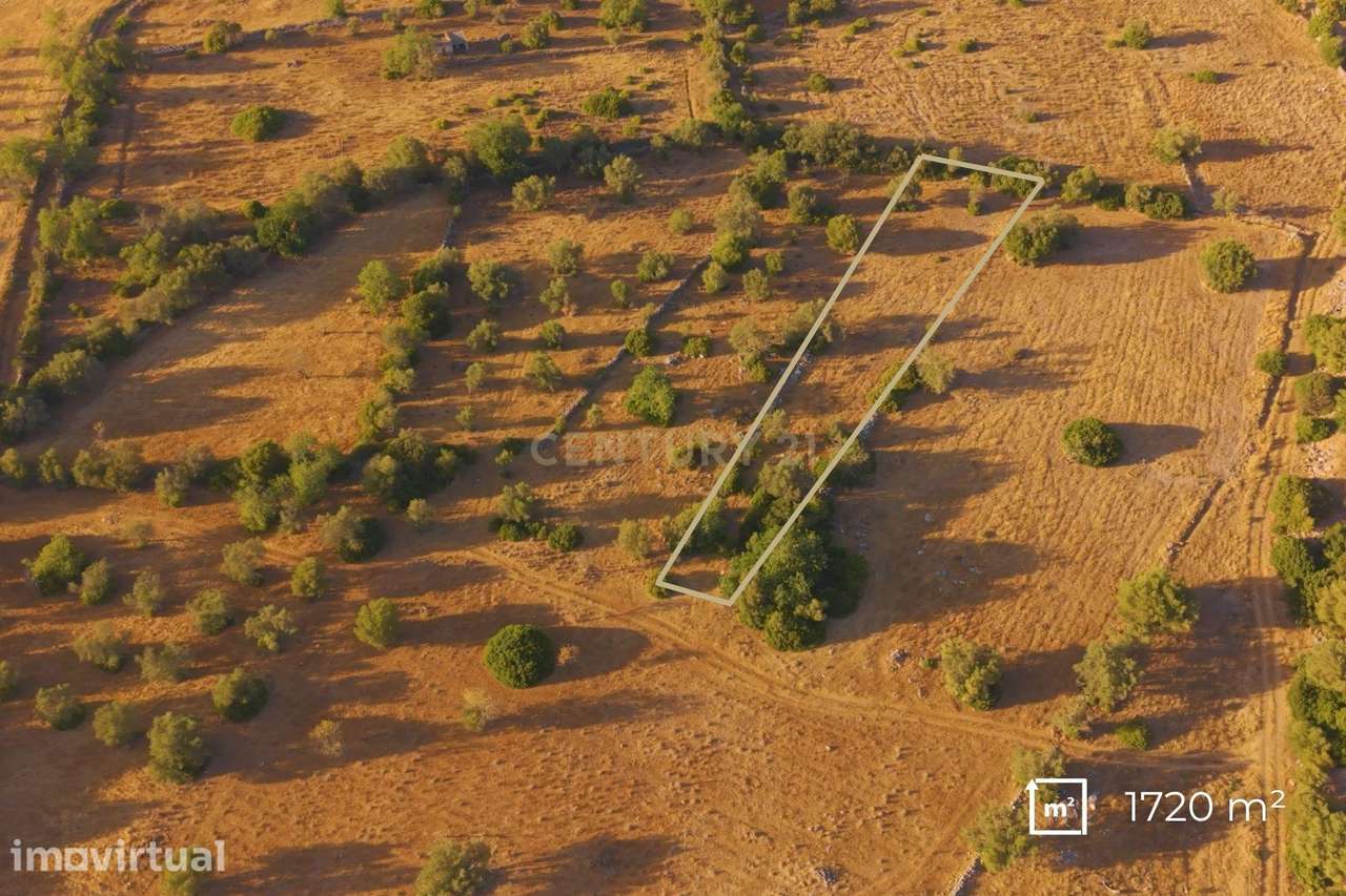 ✅ Terreno Rústico com 1.720 m² – Independência, Bons Acessos e Potenci - Grande imagem: 2/7