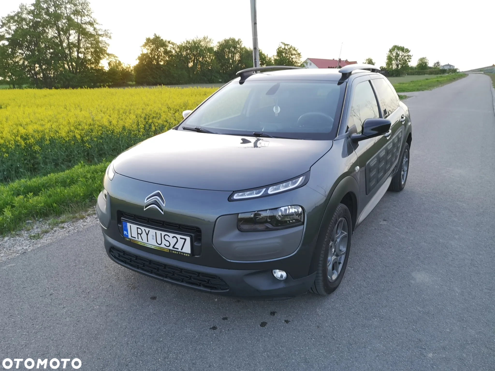 Citroën C4 Cactus 1.2 PureTech Shine Edition S&S ETG - 11