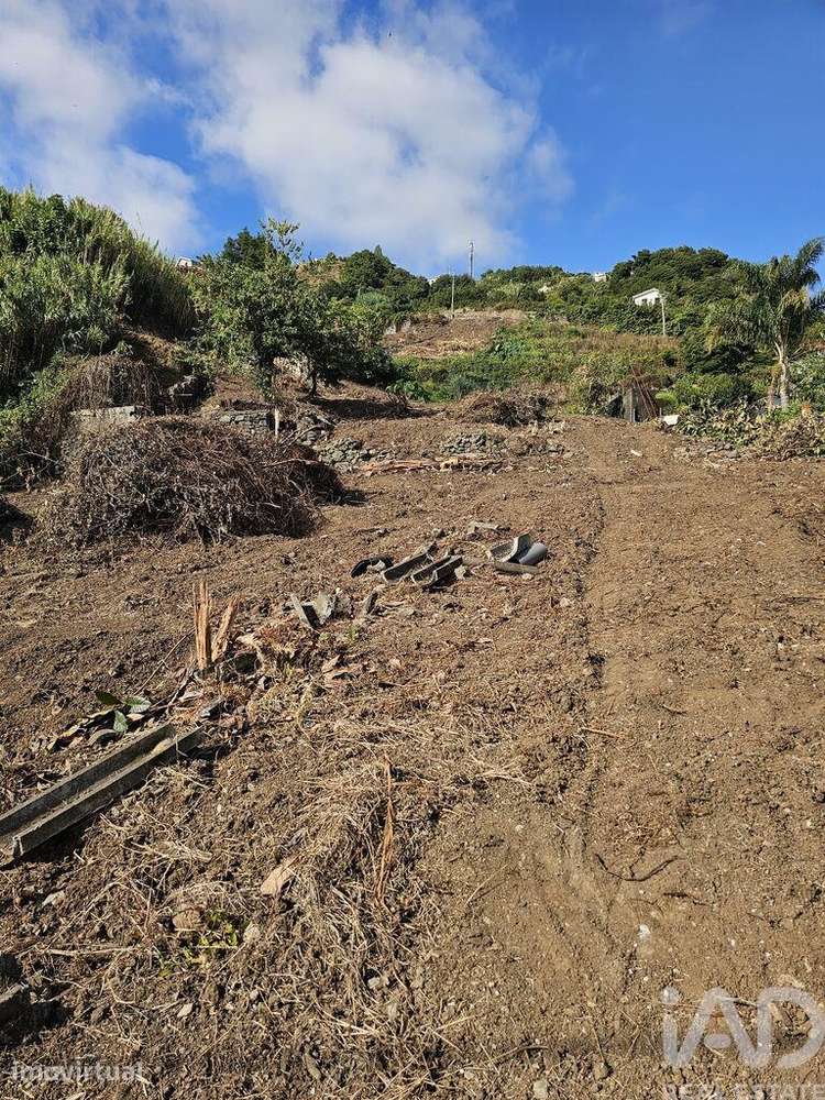 Terreno Agrícola em Porto da Cruz - Grande imagem: 5/7