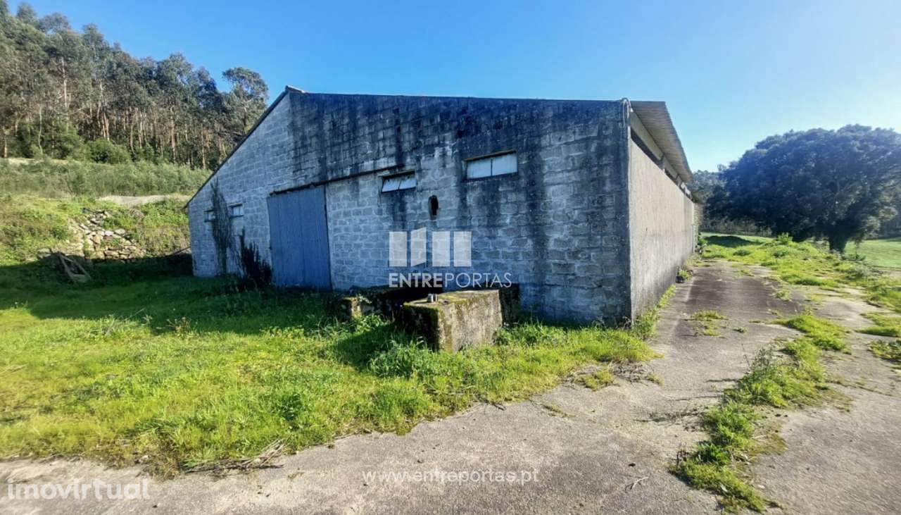 Venda de Terreno com 3695 m2 com benfeitorias, Arcos, Vila do Conde - Grande imagem: 2/22