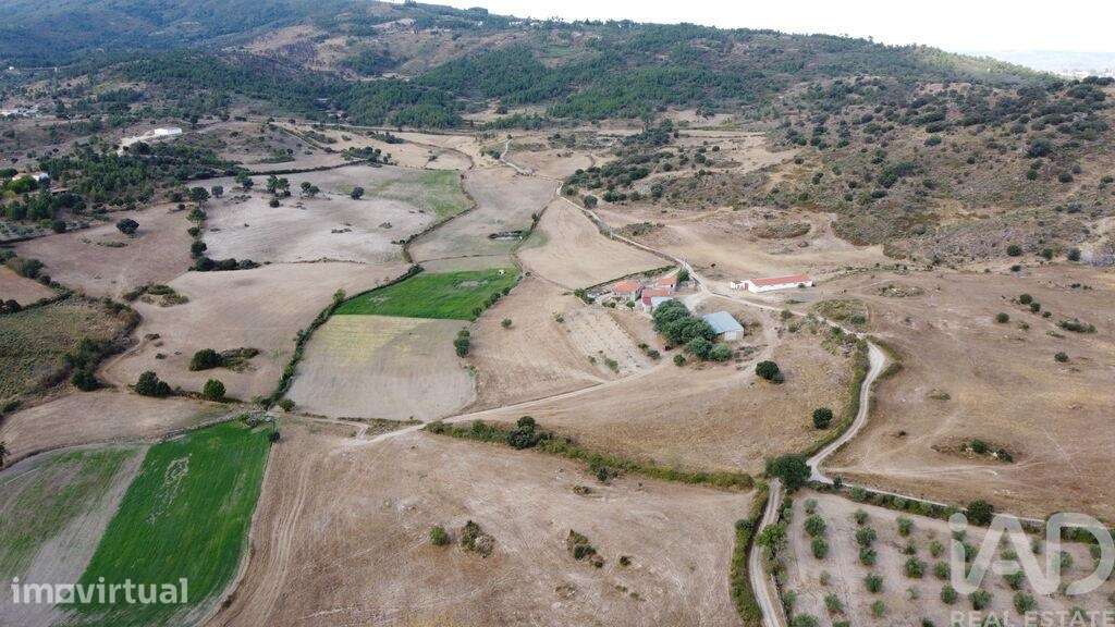 Quinta agricola T7 em Lajeosa do Mondego - Grande imagem: 3/40
