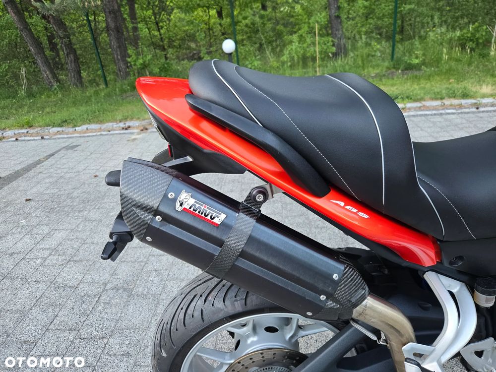 Triumph Tiger - 20