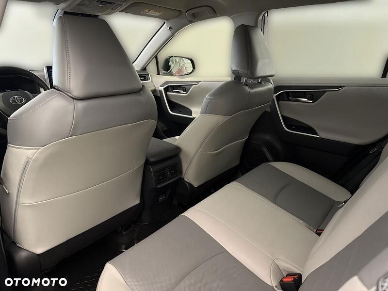 Toyota RAV4 2.5 Hybrid Executive 4x2 - 18