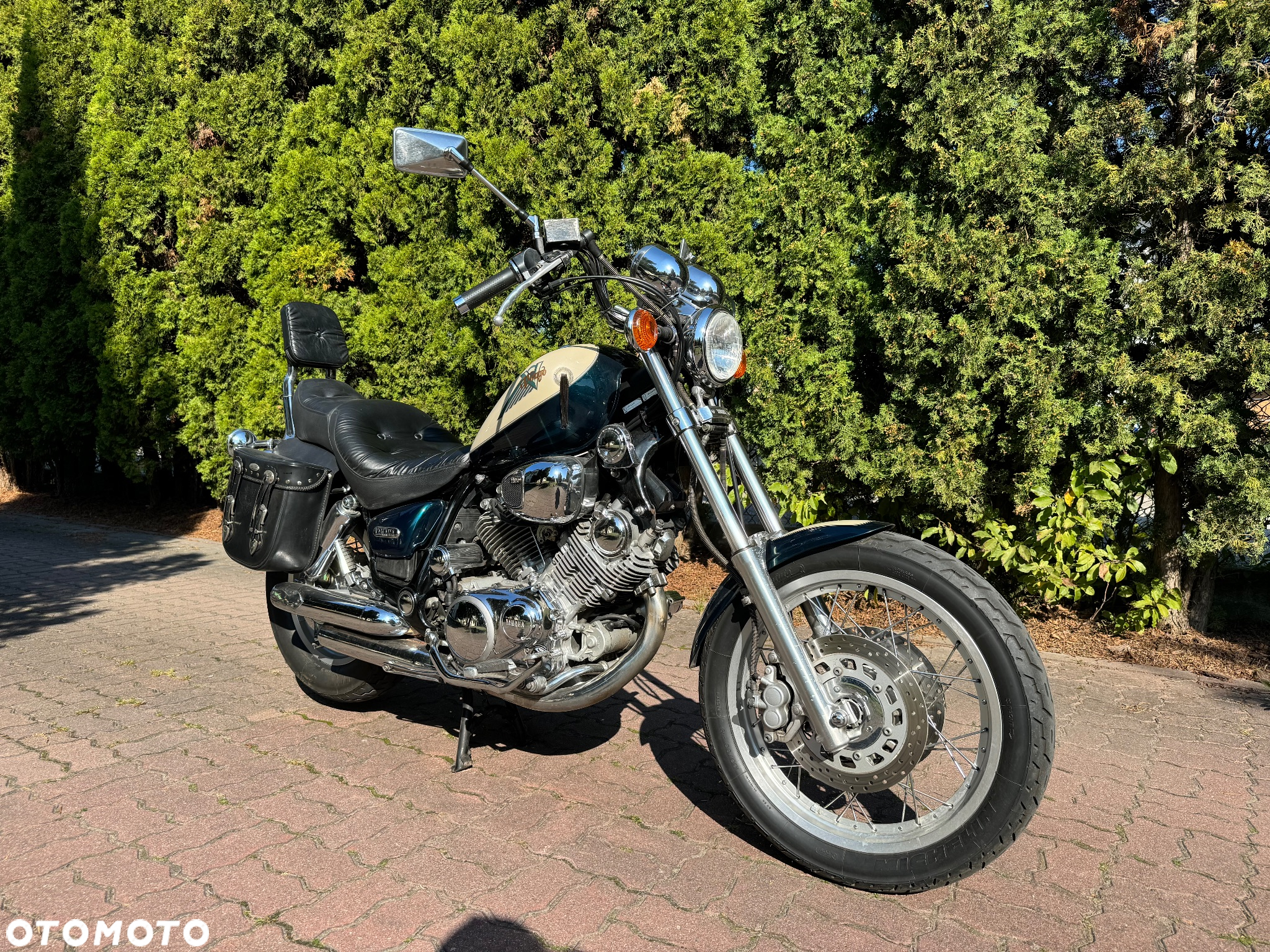 Yamaha Virago - 3