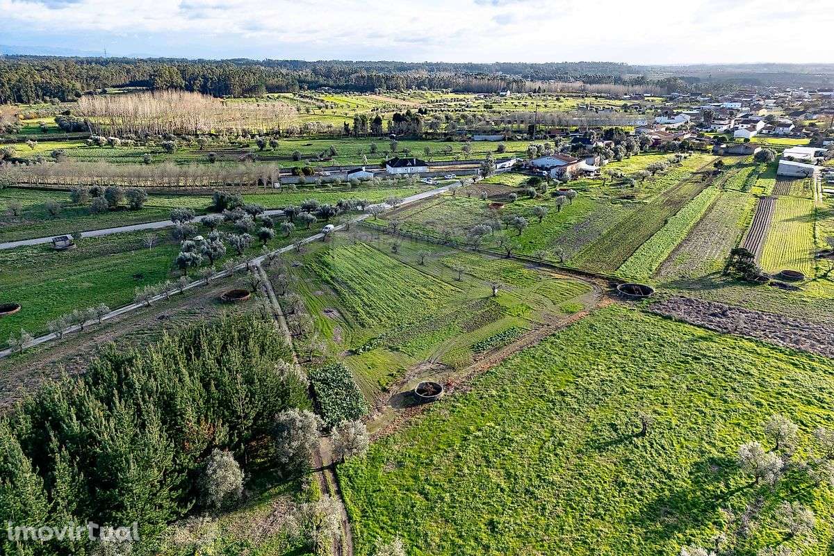 Terreno  para venda - Grande imagem: 2/11