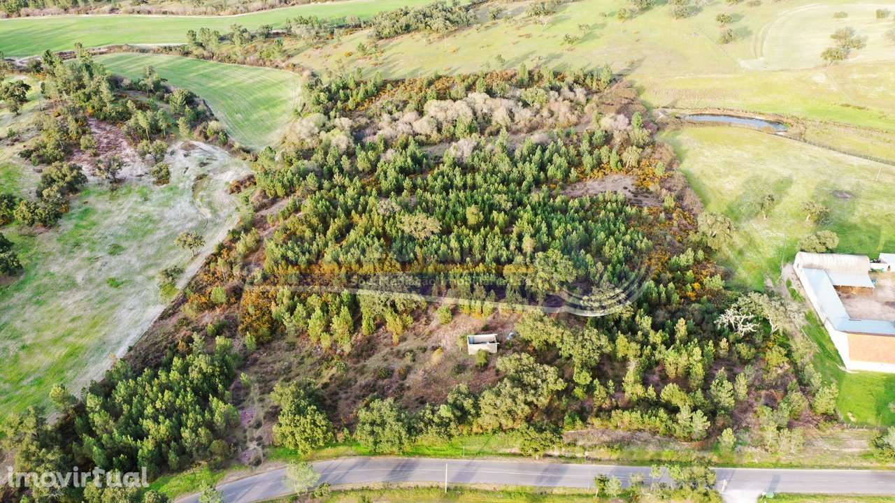 Terreno em Coruche (CRCH166) - Grande imagem: 2/11