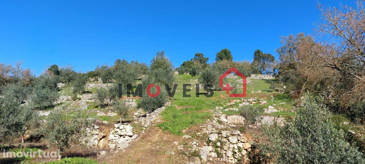 Terreno Agrícola com boa exposição solar - Grande imagem: 4/6