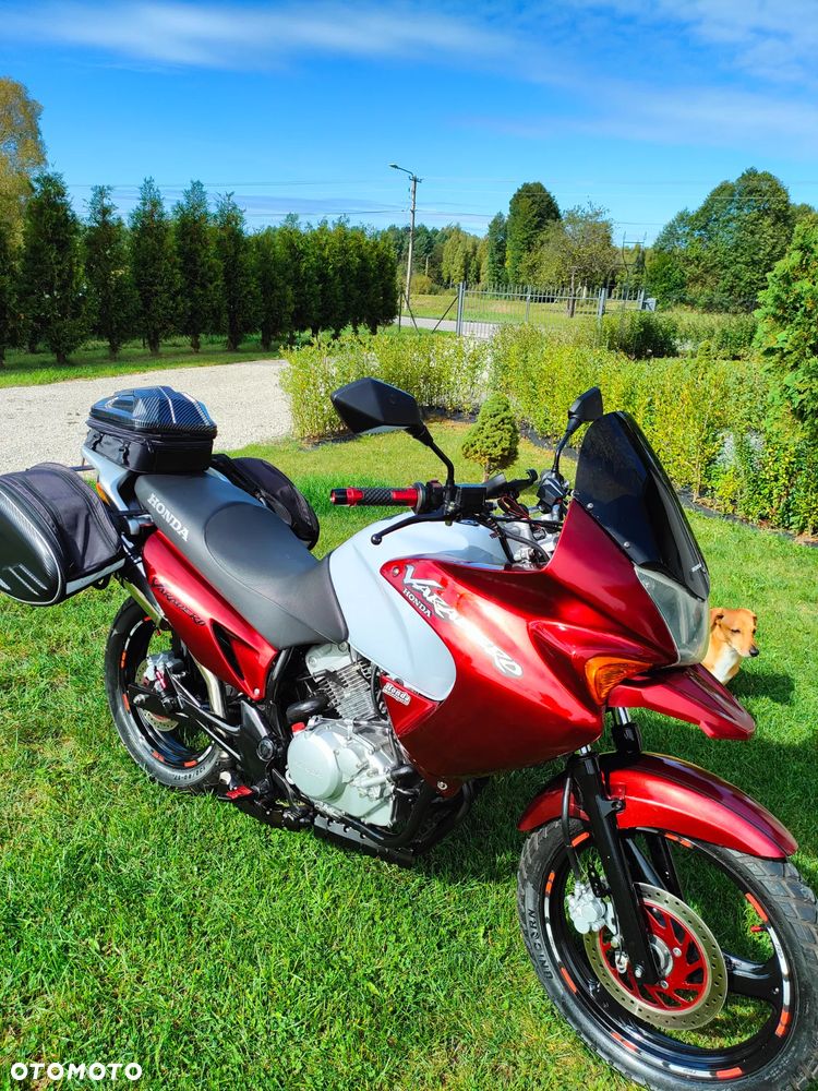 Honda Varadero - 6