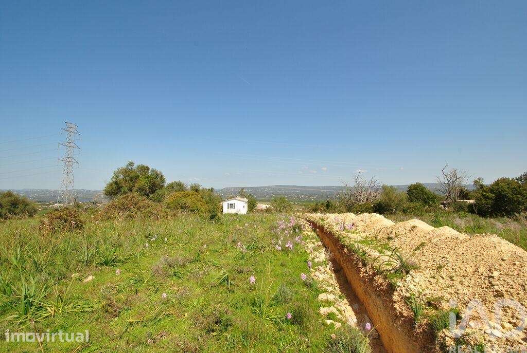 Terreno Agrícola em Paderne - Grande imagem: 5/24