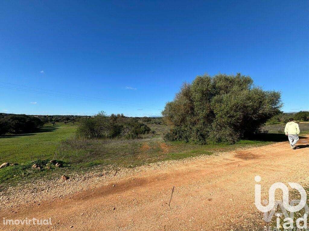 Terreno Agrícola em Paderne - Grande imagem: 2/4