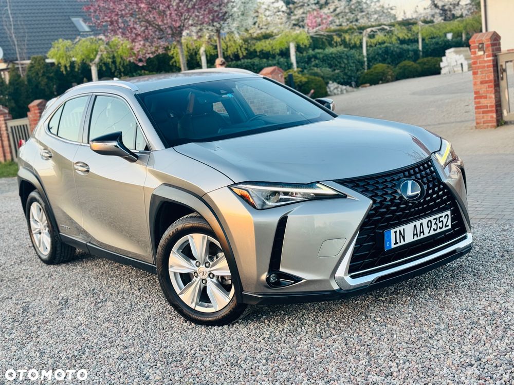 Lexus UX 200 GPF Business 2WD - 29