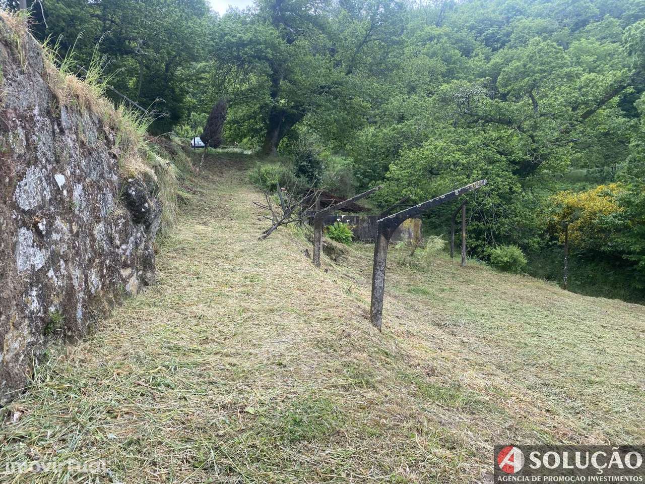 Quinta T3 c/ 8.000m² por apenas 90.000€ - Oportunidade de Investime - Grande imagem: 2/20