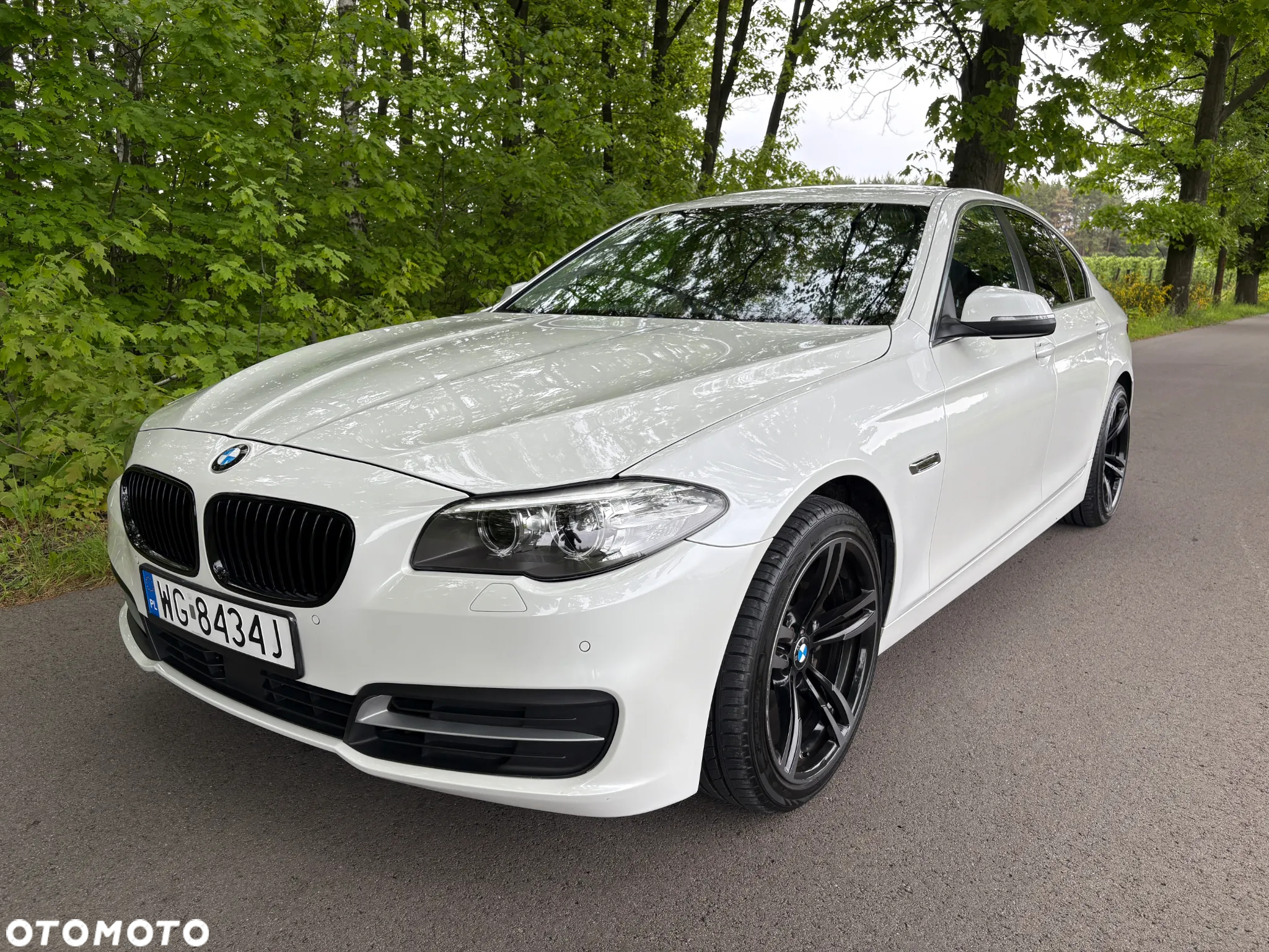 BMW Seria 5 520d - 19