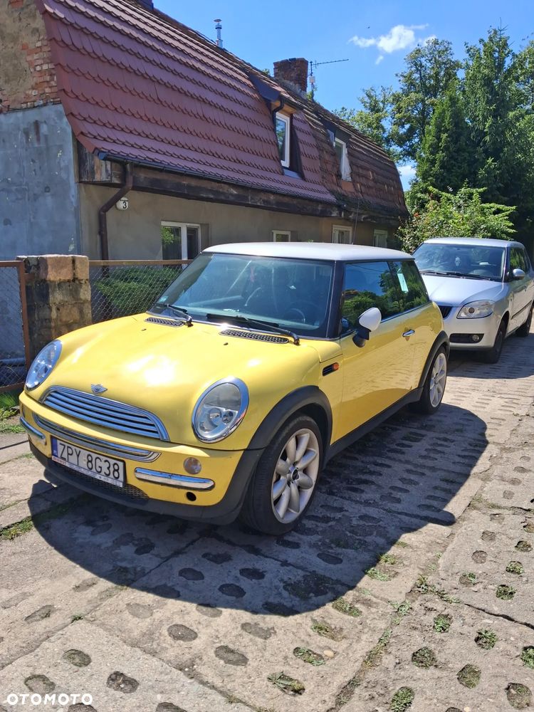 MINI Cooper pepper - 3