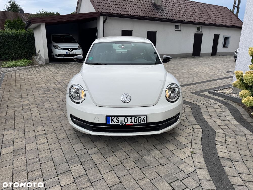 Volkswagen Beetle - 10