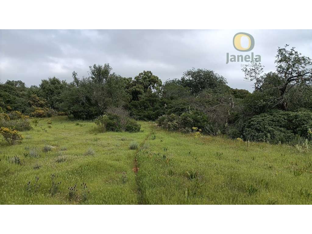 Terreno junto a Santa Bárbara de Nexe - Grande imagem: 5/11