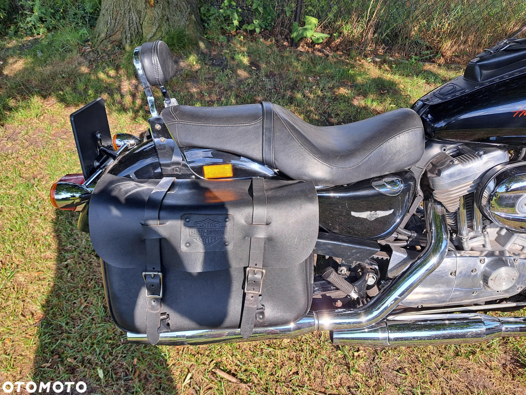 Harley-Davidson Sportster Low 883L - 7