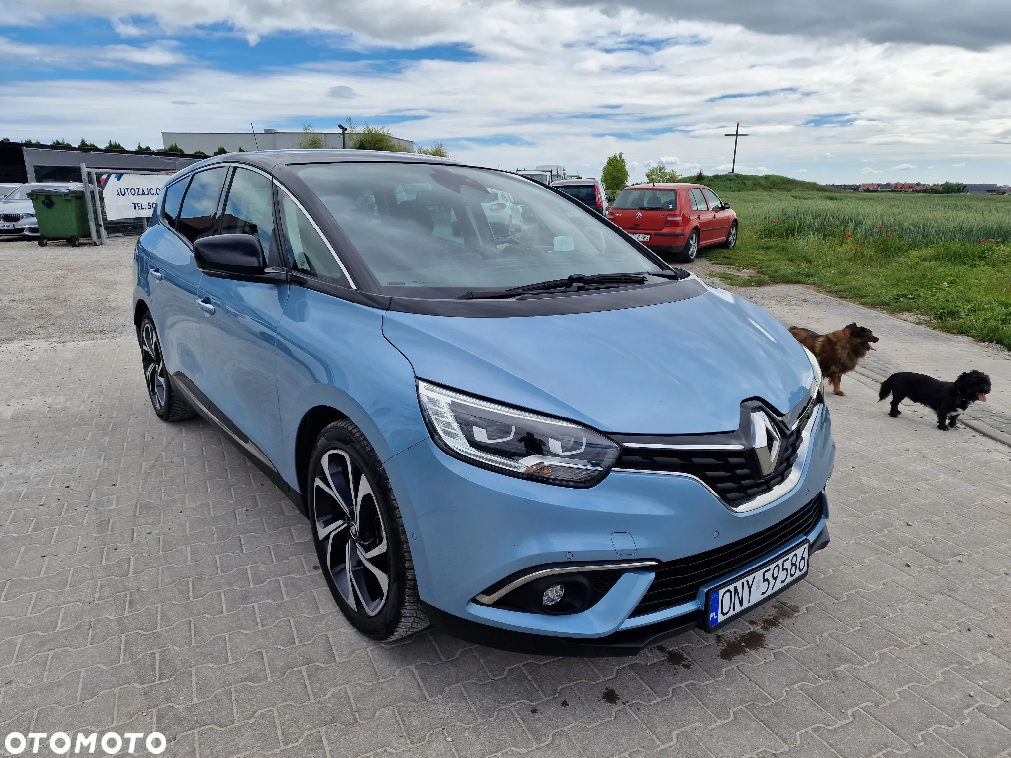 Renault Scenic BLUE dCi 120 EDC LIMITED - 6