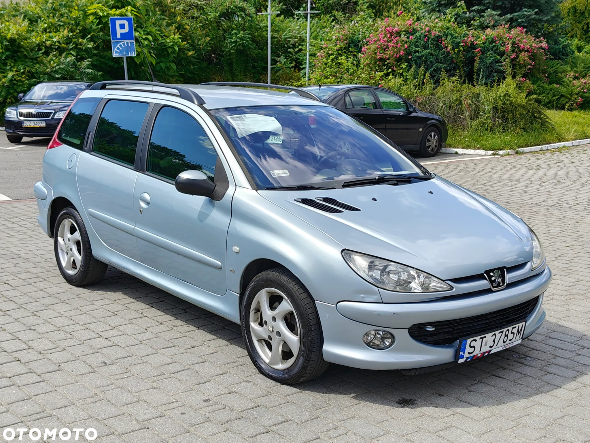 Peugeot 206 SW 110 Quiksilver - 12