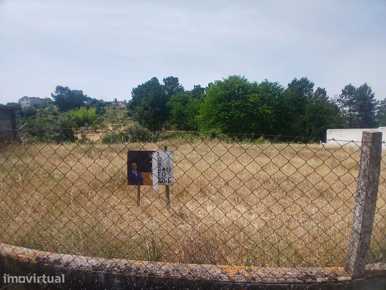 Terreno Urbano no Pinheiro Grande - Chamusca - Grande imagem: 4/6