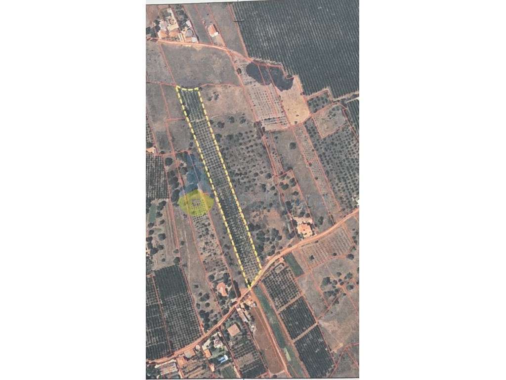 Terreno rústico à venda - Fonte de Louzeiros - Grande imagem: 3/9