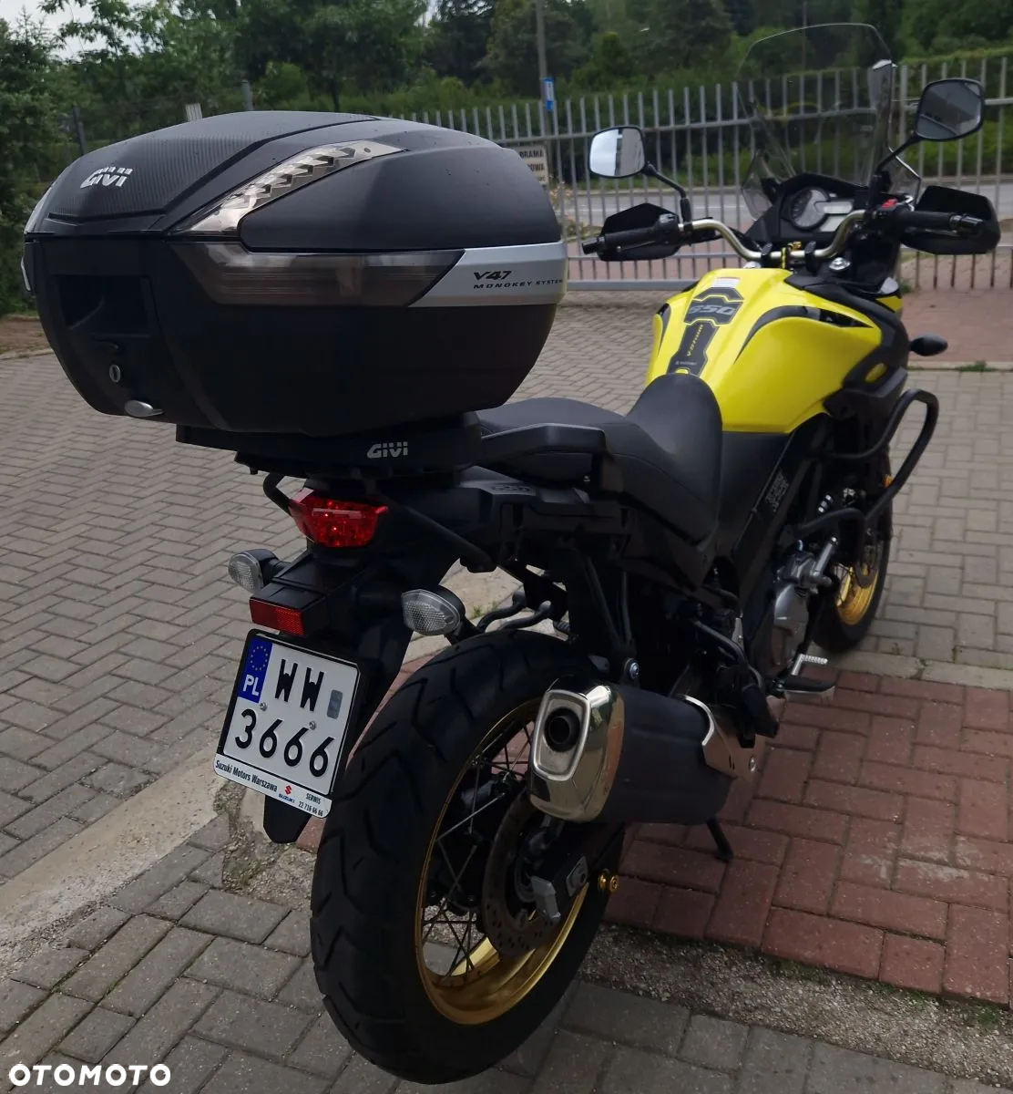Suzuki DL