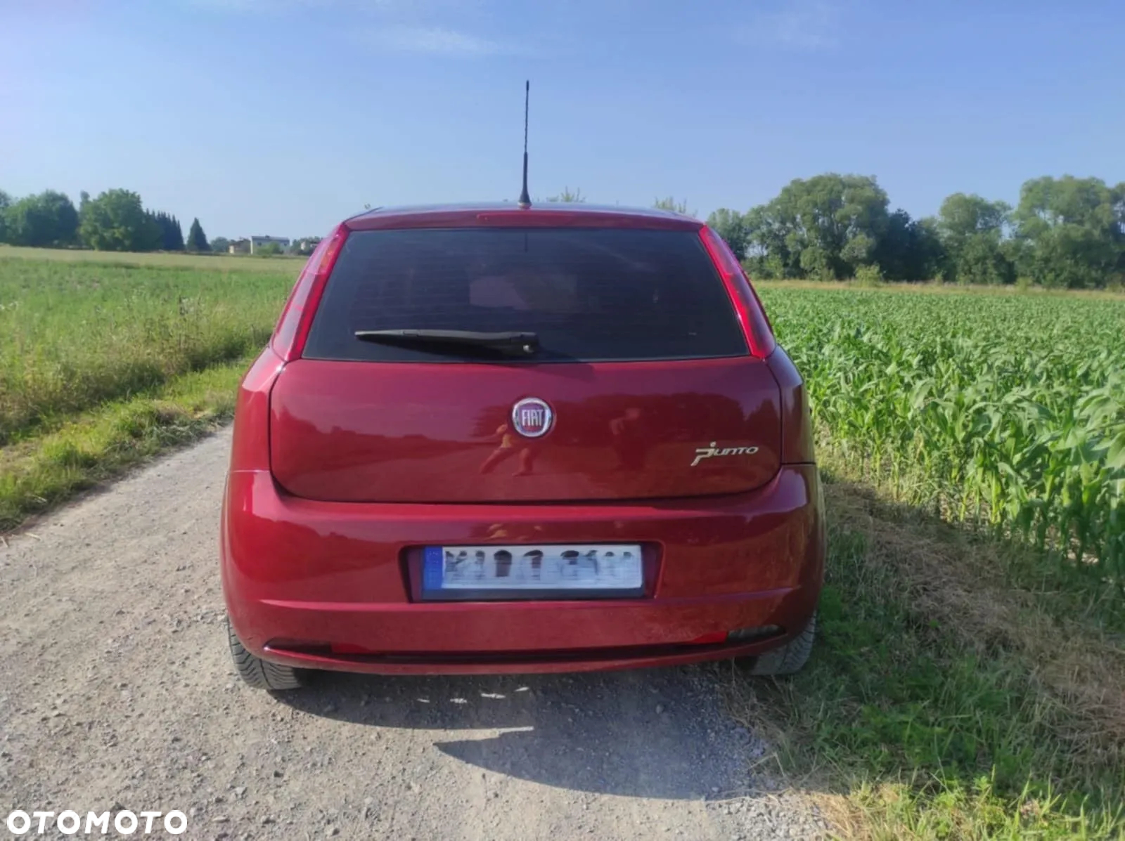 Fiat Punto - 4