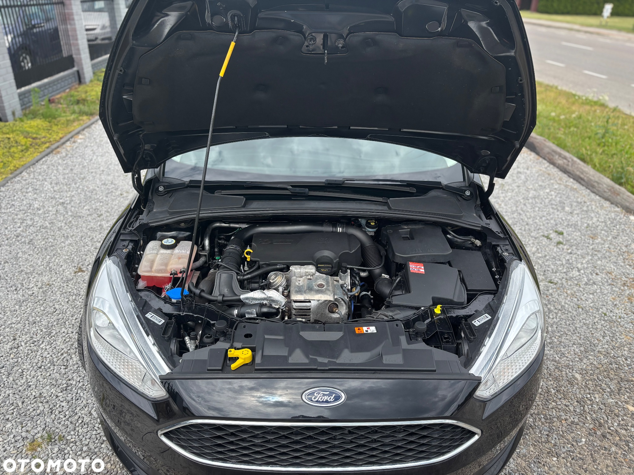 Ford Focus - 14