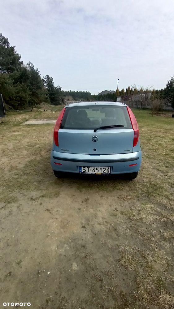 Fiat Punto 1.3 Multijet - 2