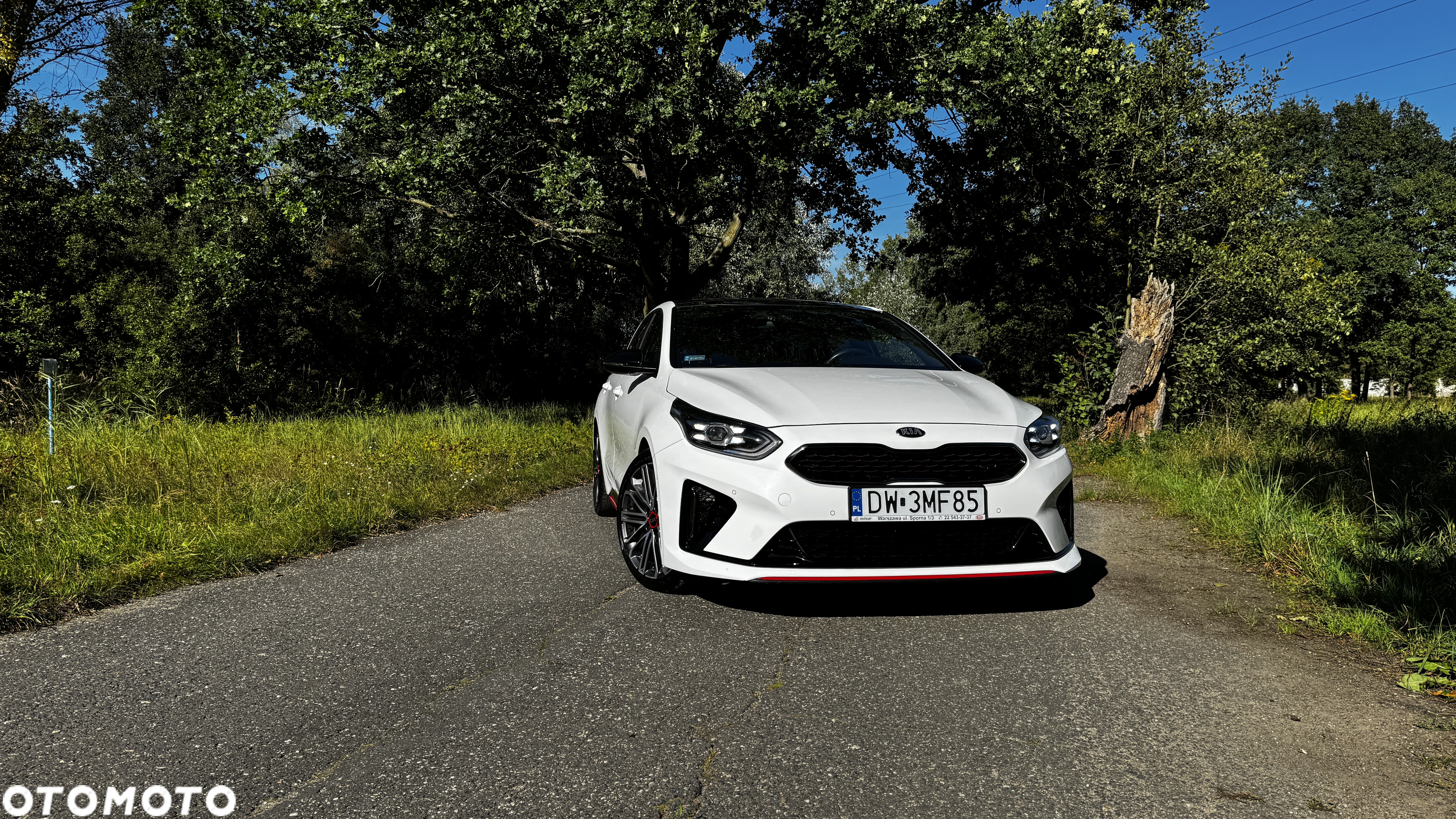 Kia ProCeed 1.6 T-GDI GT DCT - 3