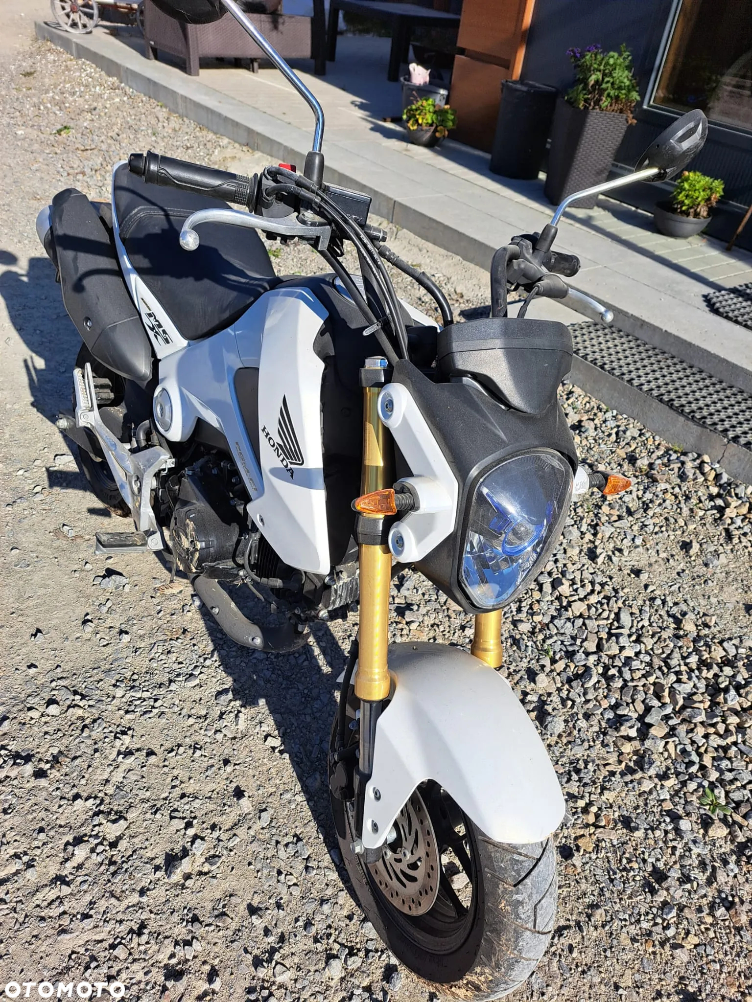 Honda MSX 125 - 9