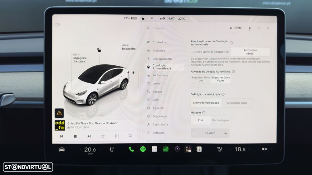 Tesla Model Y Standard - 19