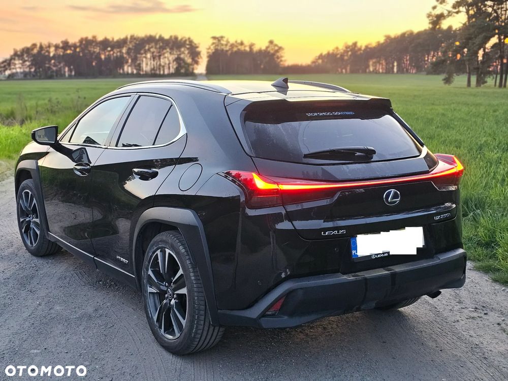 Lexus UX - 10