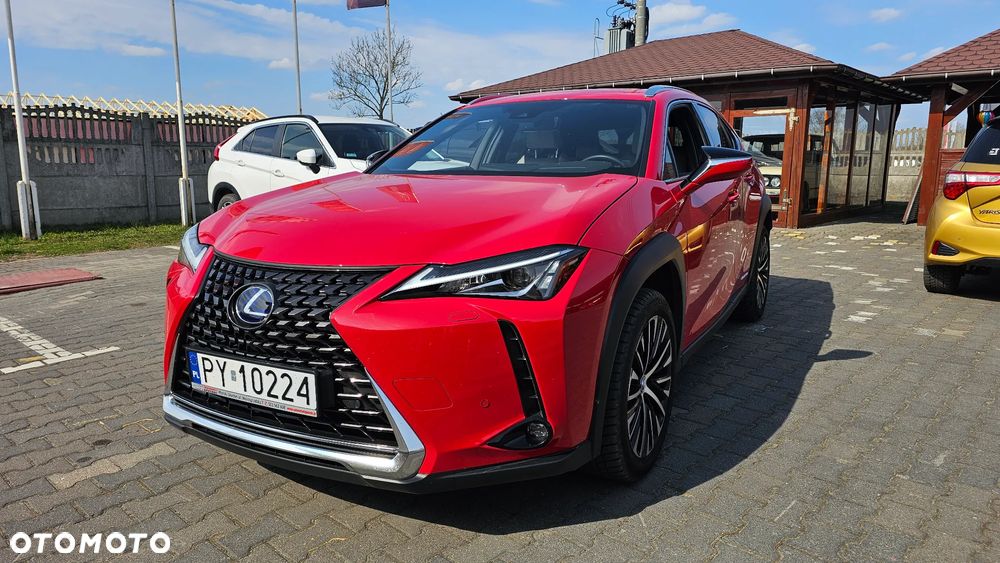 Lexus UX 250h Elegance 2WD - 2