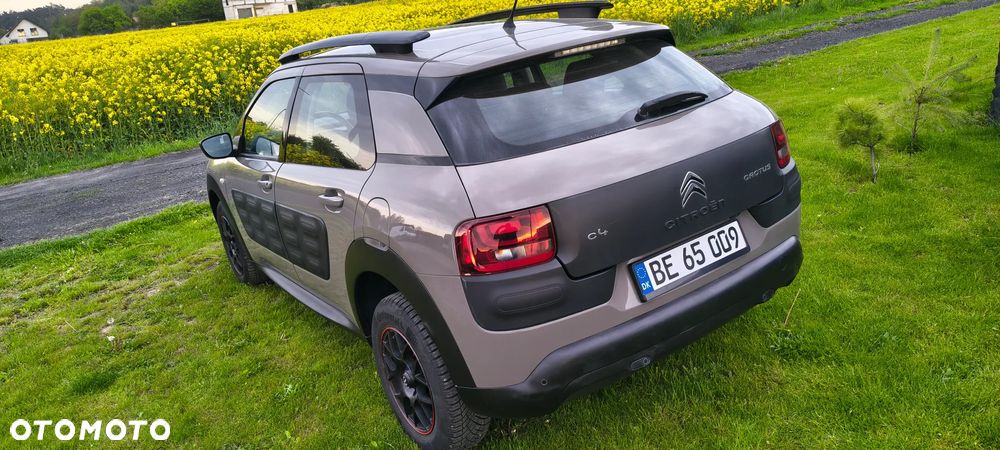 Citroën C4 Cactus BlueHDi 100 Stop&Start Business Class - 38
