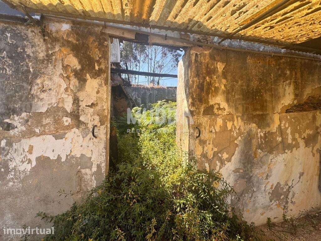 Moradia para Recuperar com Terrenos – São João de Ovar - Grande imagem: 4/12
