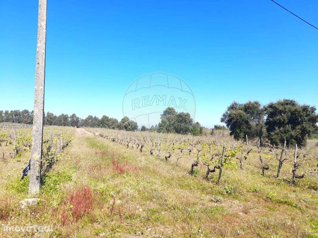 Terreno  para venda - Grande imagem: 5/6