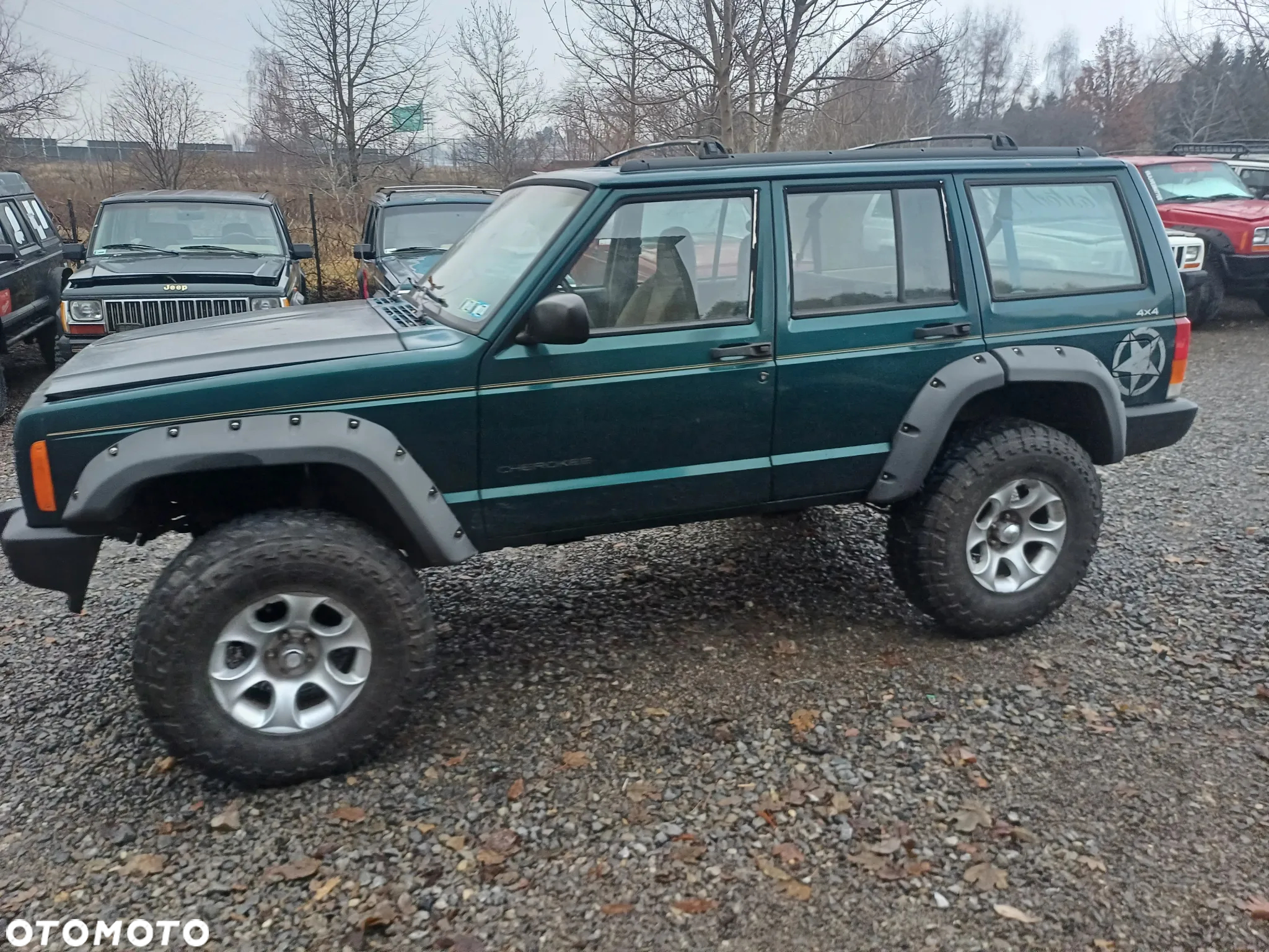 Jeep Cherokee 4.0 - 7