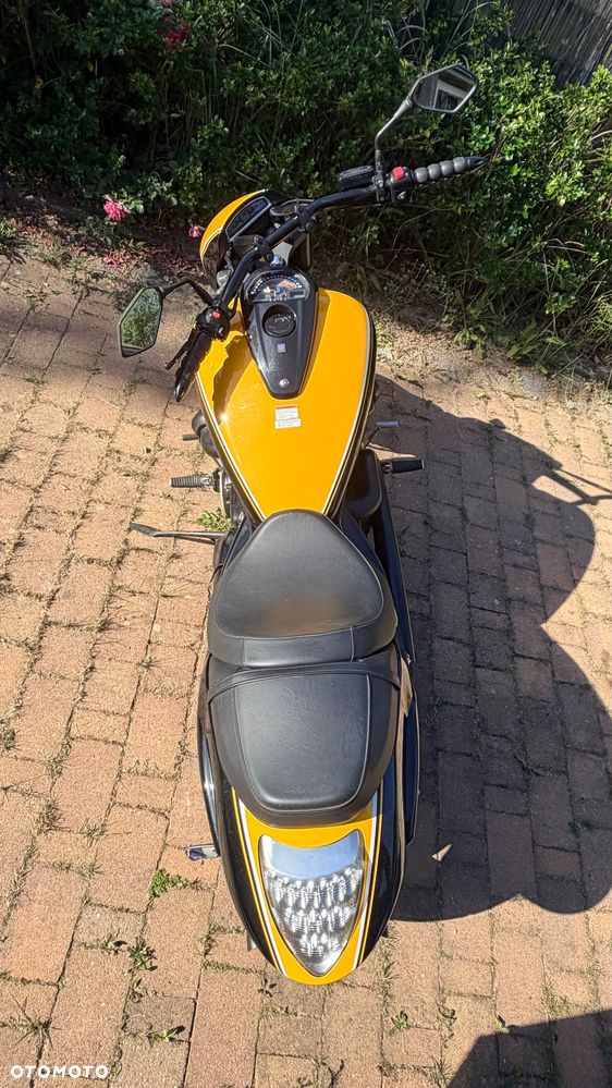 Suzuki Intruder - 10