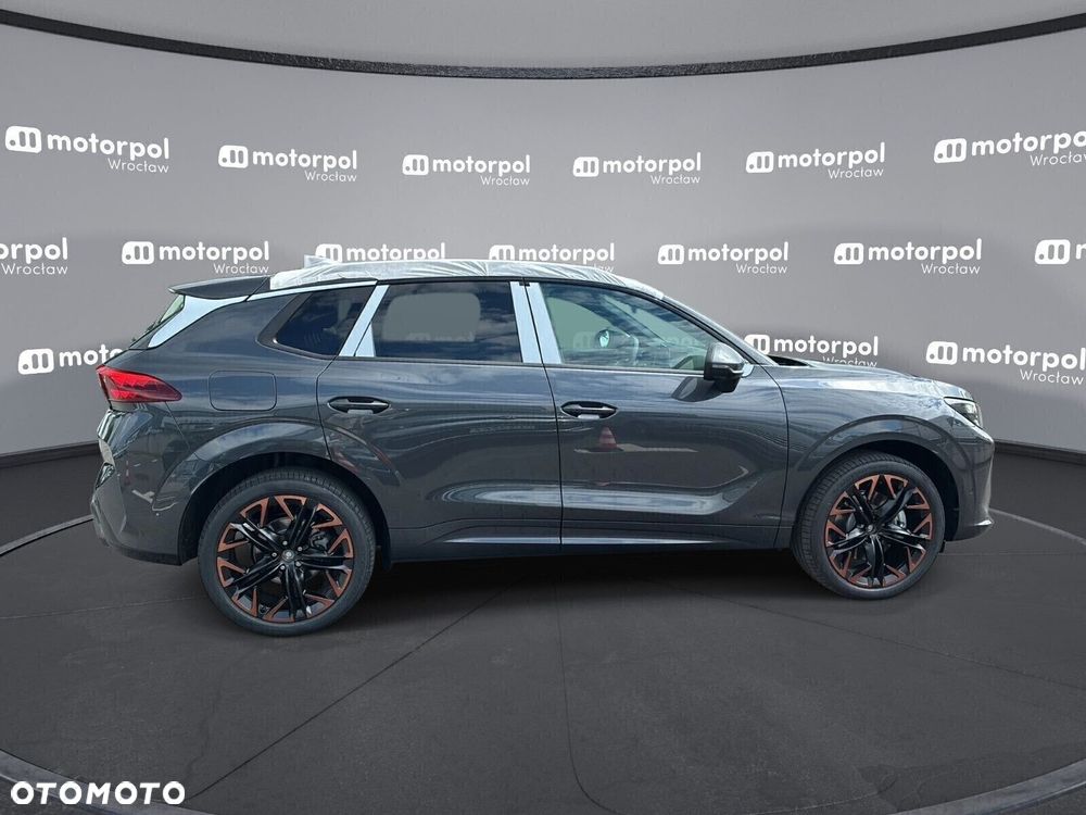 Cupra Terramar - 12