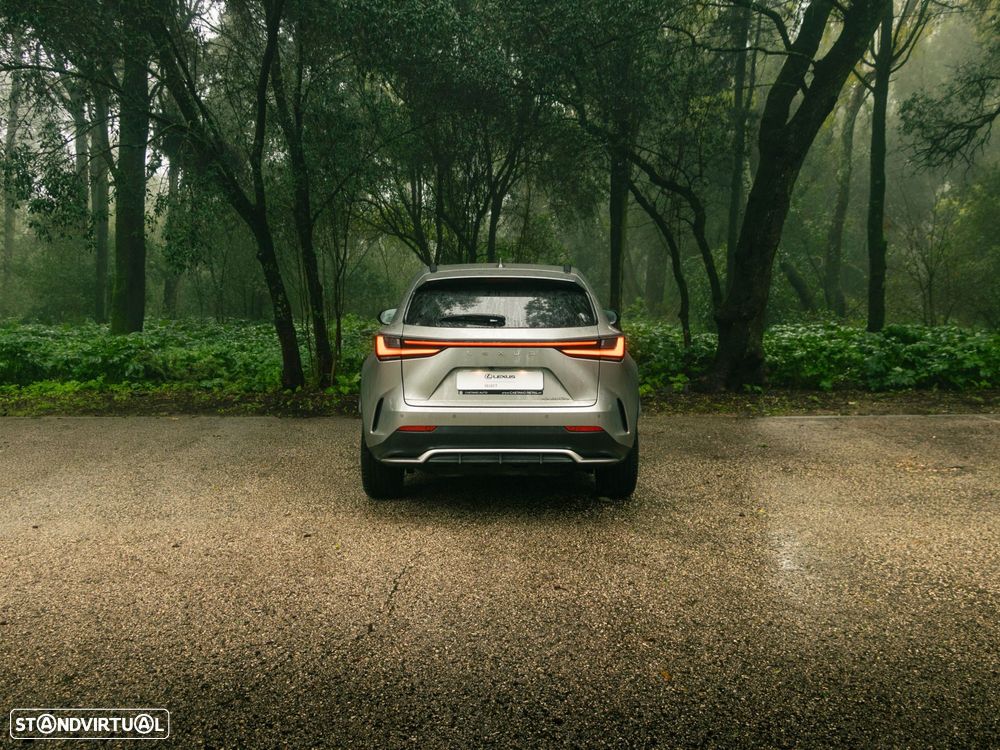 Lexus NX 450h+ - 4