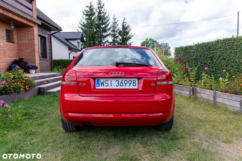 Audi A3 3-drzwiowe 1.6 Ambition - 5