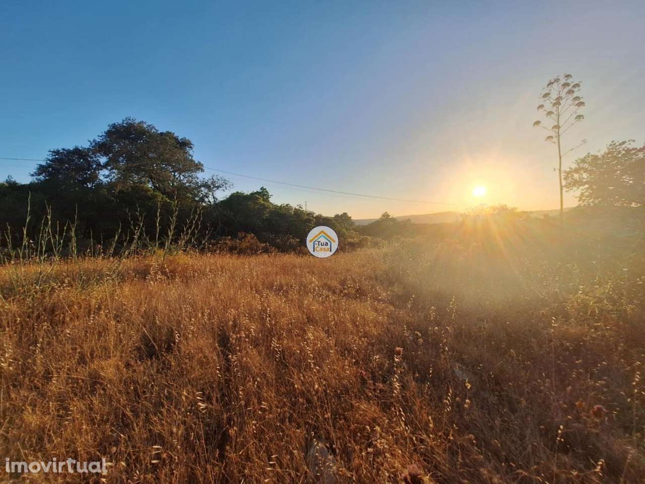 Terreno Rústico no concelho de Faro - Grande imagem: 5/13