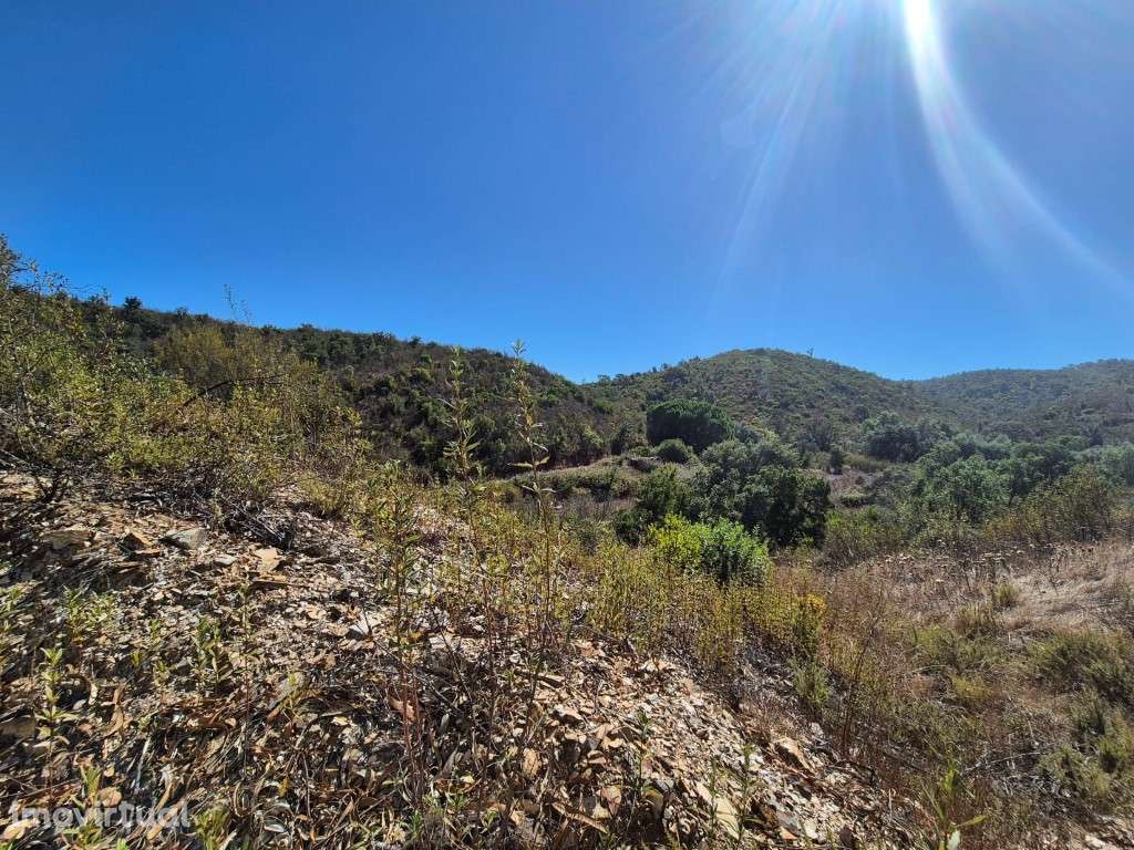 Terreno Rústico - Grande imagem: 2/23