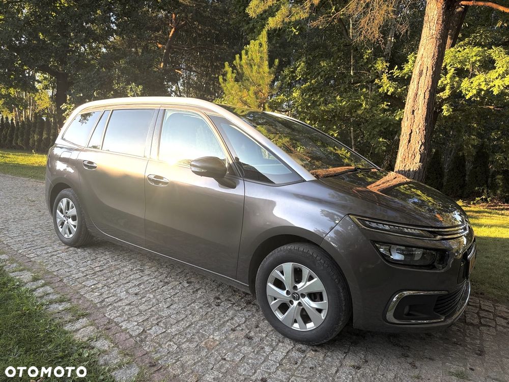 Citroën C4 Grand Picasso BlueHDi 120 Business Class - 7