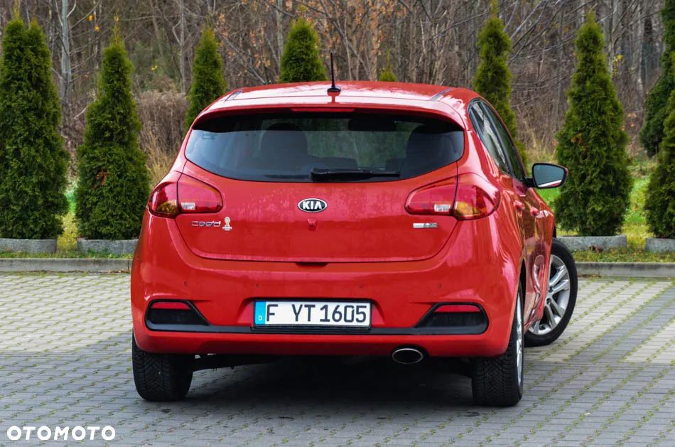 Kia Ceed 1.6 CRDi 128 Fifa World Cup Edition - 13