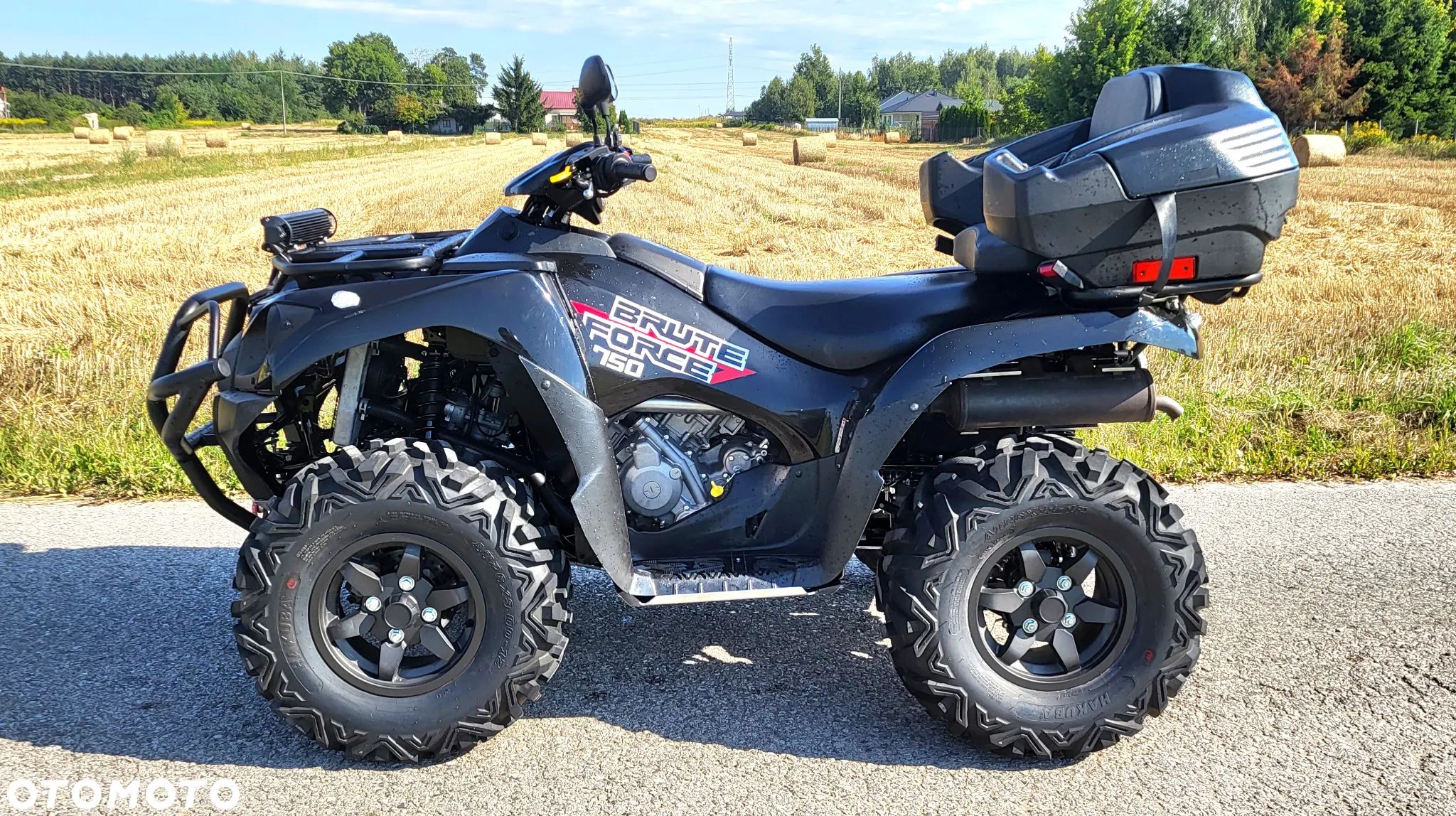 Kawasaki Brute Force