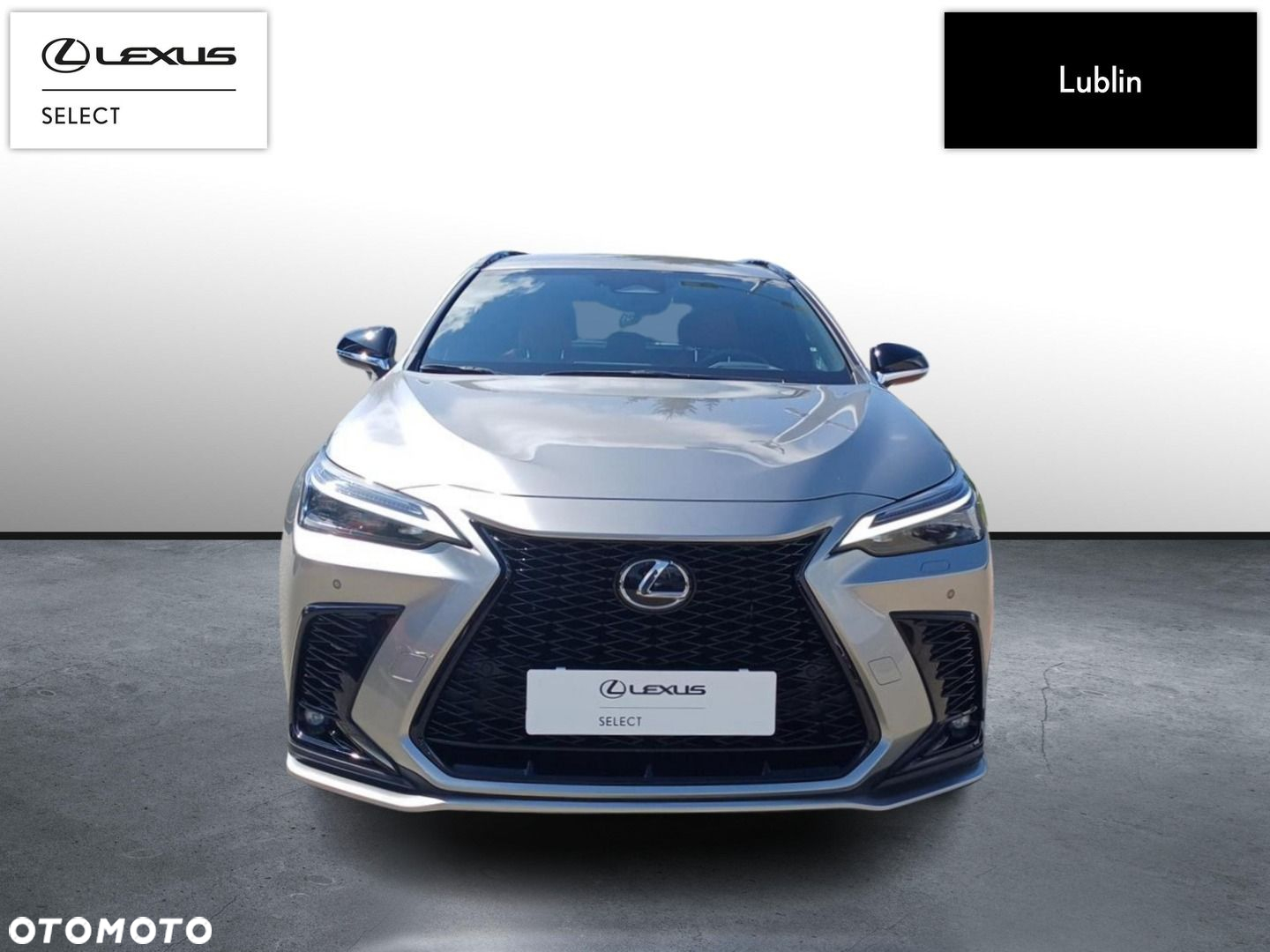Lexus NX - 8
