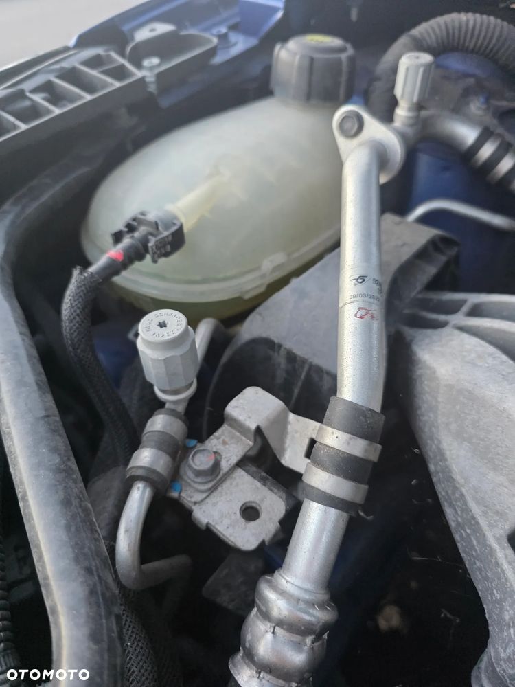 Renault Clio - 18