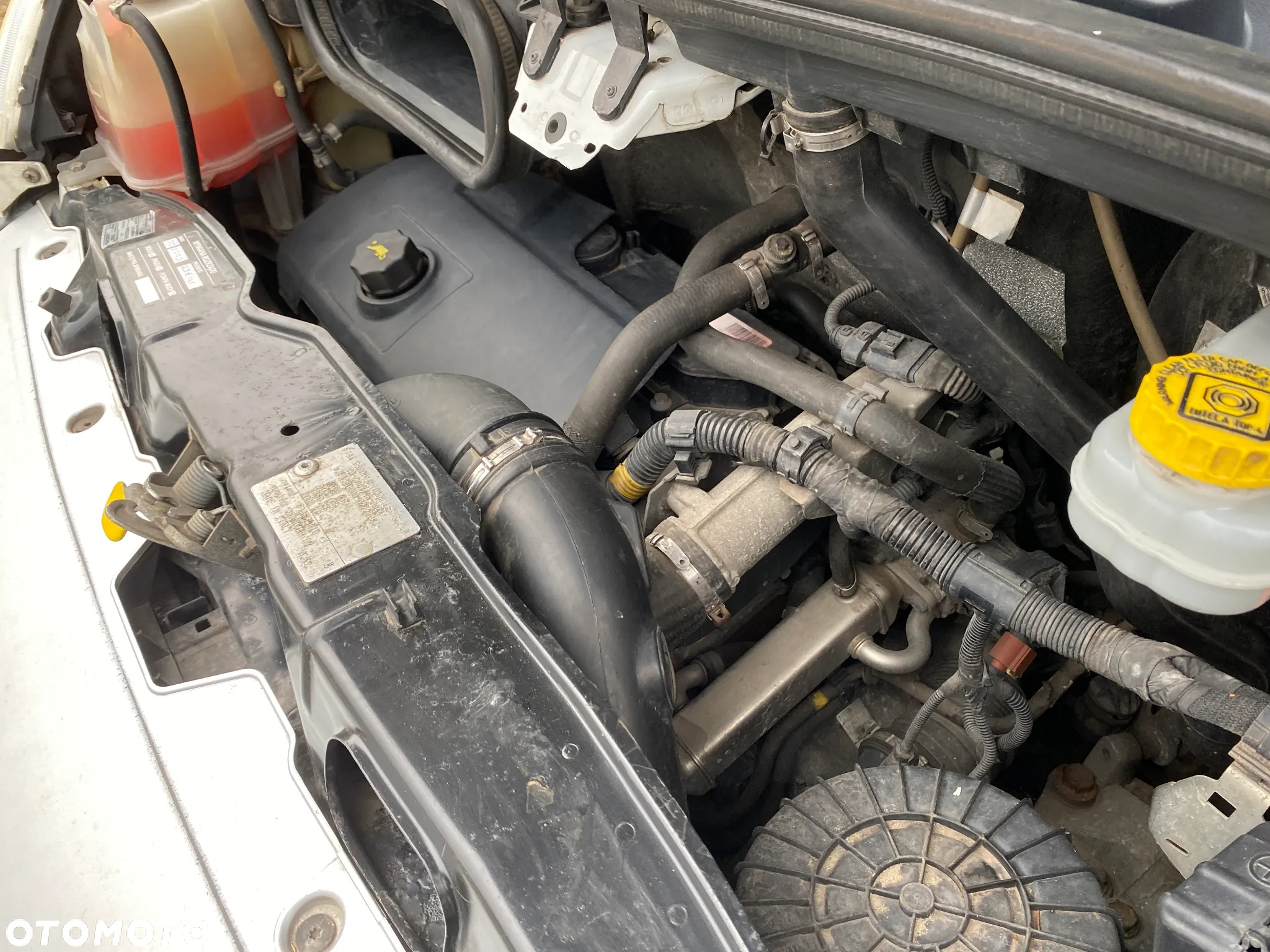 Fiat Ducato MAXI - 16